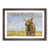 Walnut Framed