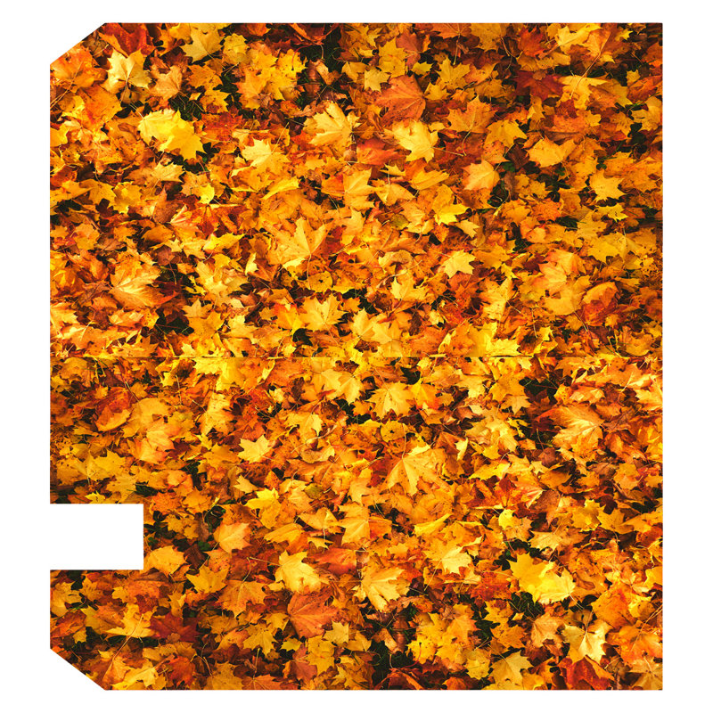 Housse pour boîte aux lettres en bois décoratif laisse automne