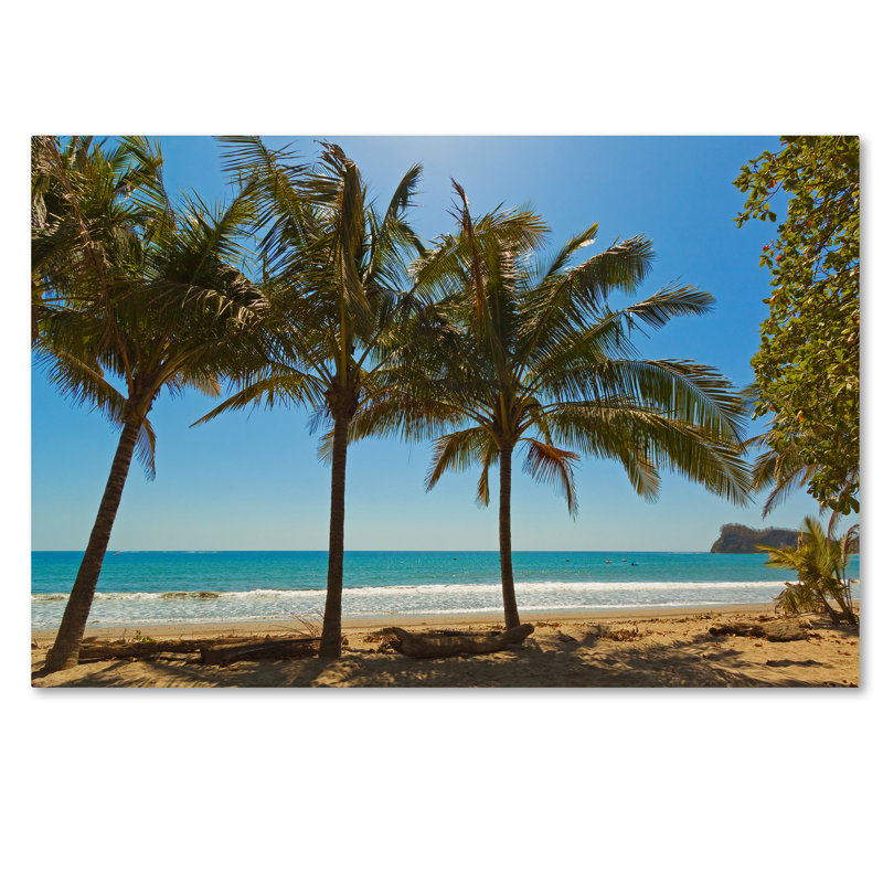 Ann «Palm Trees 2», reproduction de photo sur toile tendue Ann, H 12 po x l 19 po