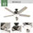 Reveille 60" 5 - Blade Ceiling Fan With Lights And Pull Chain-85433803
