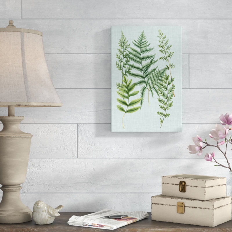 'Spa Ferns I' by Weinmann - Wrapped Canvas Graphic Art Print, 46cm H x 30cm W, Black Floater Framed