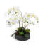 Orchidée FLORAL 24 po avec plantes grasses