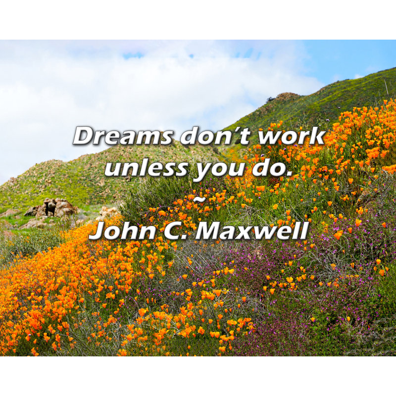 John C. Maxwell Quote: Dreams don’t work unless you do.