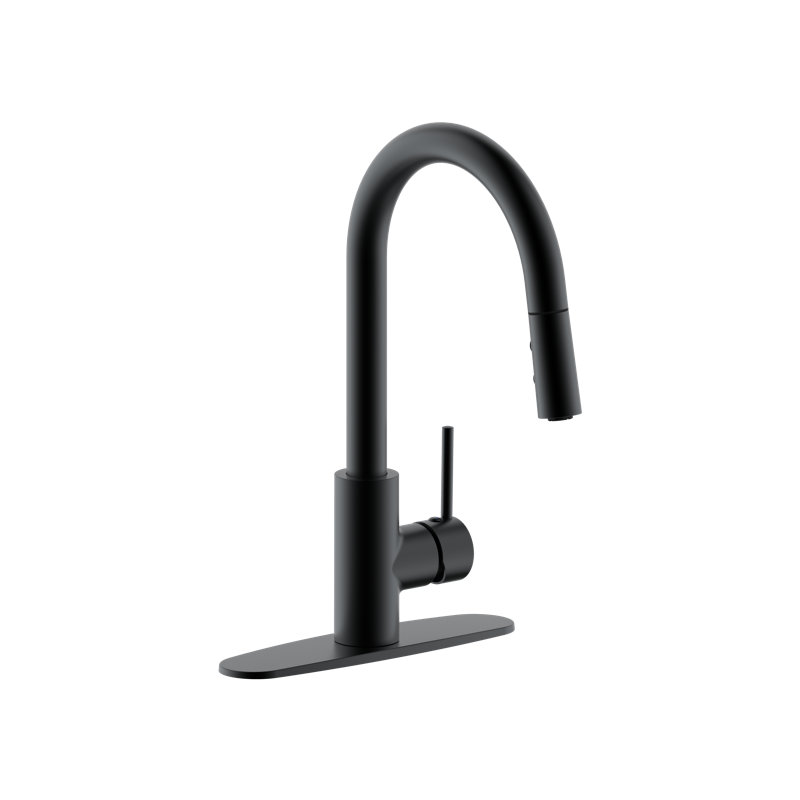 Robinet de cuisine à double bouton-poussoir avec douchette extractible, Noir mat