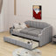 Lit de jour simple rembourré avec tiroirs-1560761492