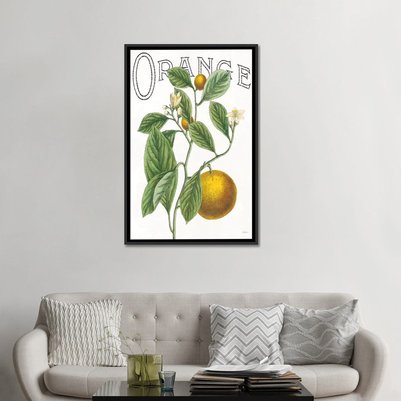 « classic agrumes vi », reproduction d’impression sur toile tendue, Toile avec cadre noir, Pas de tapis
