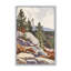 «Rocky Mountain View I»-1650369605-1650369607