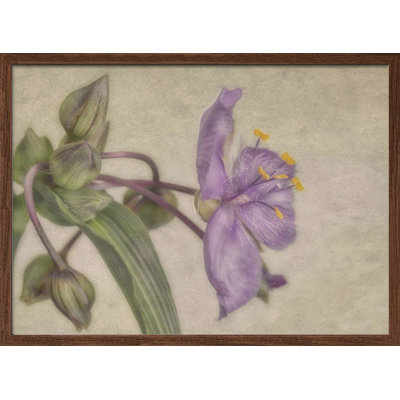 "Purple Flower" Framed Textured Wall Art