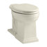 Toilette allongée à hauteur de confort treTaie décorative