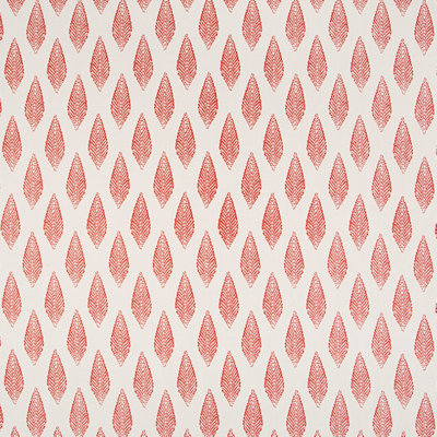 Tissu de couleur Festival Festival