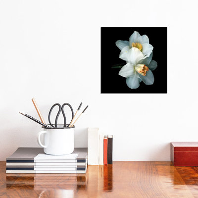 Daffodil Special V by Magda Indigo - Wrapped Canvas Print