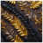 Dark Brown Light Gold