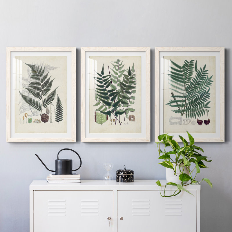 Collectionné de fougères VI encadré mat - prêt à accrocher, Blanc, H 37,5 po x l 82,5 po x P 1,5 po