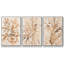 Parchment Coral I - Ensemble de 3 cadres flottants sur toile-987635202-987635201