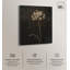 Starlit Bloomfall Canvas Gothic Botanicals par Art Remedy-110295814-110295821