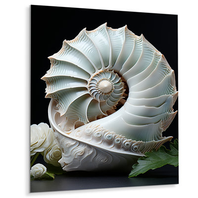 Animal Nautilus Sheels - Décoration murale animaux en métal