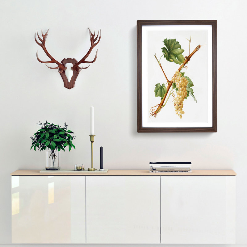 Vermentino Grapes by Giorgio Gallesio - Picture Frame Painting Print, 36cm H x 27cm W x 2cm D, Walnut Framed