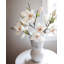 White Magnolia Tulip 20"