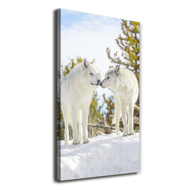 Two White Wolves - Wrapped Canvas Print