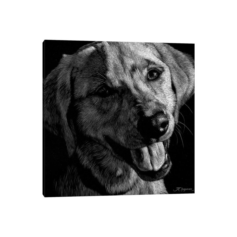 Canine Scratchboard XXIII by Julie T. Chapman - Wrapped Canvas Print, 30.48 cm H x 30.48 cm W