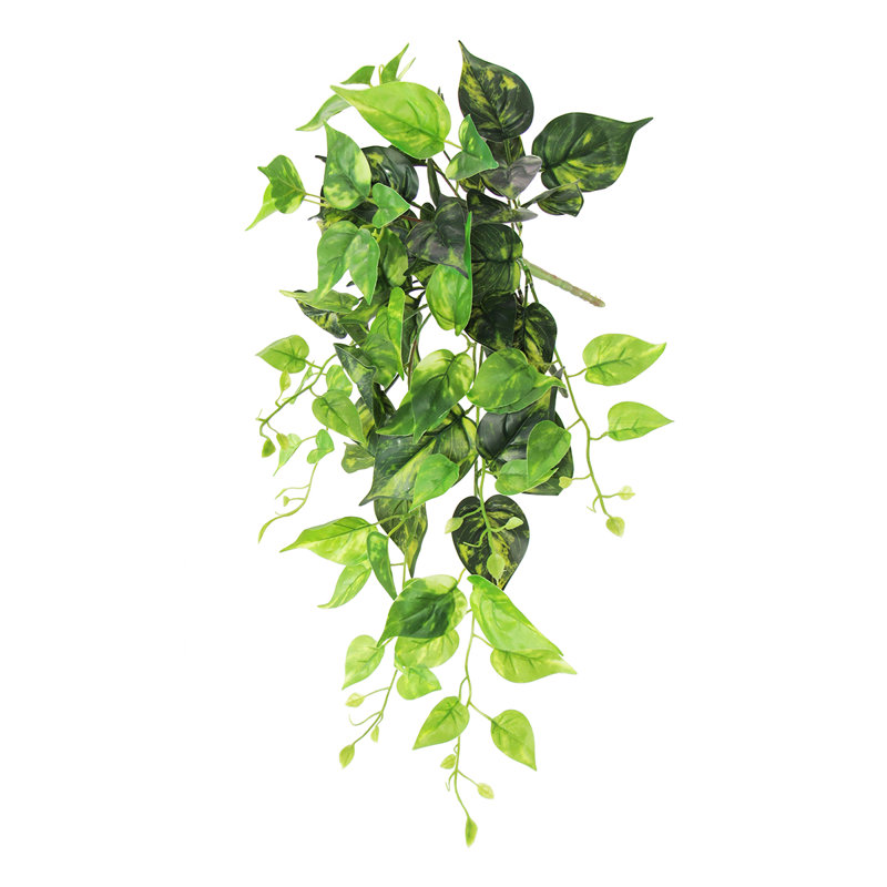 Plante artificielle suspendue lierre Pothos, H 24 po x l 12 po x P 6 po