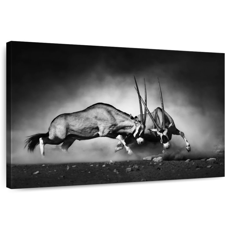 Brampt Fighting Oryx, 34" H x 51" W