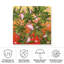 Toile d'extérieur Casen Mark Ashkenazi «Summer Time 2»-87945776