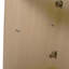 Meuble-lavabo autoportant de 42 po avec lavabo en résine et 2 portes d'armoire à fermeture en douceur, contreplaqué (KD-PACKING)-130629827