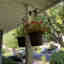 Customer photo 2 of 3