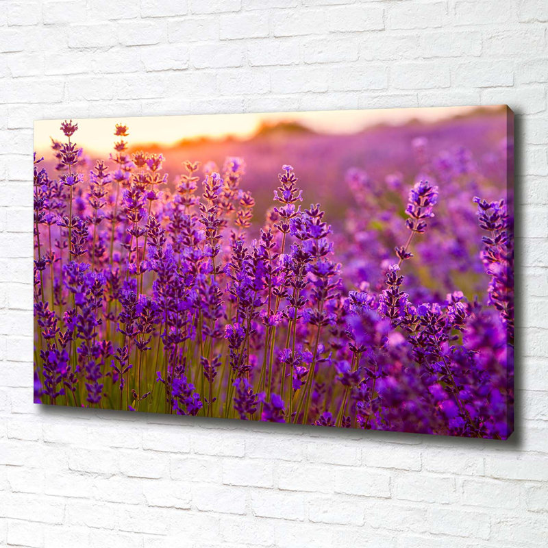 Lavender Field - Wrapped Canvas Print