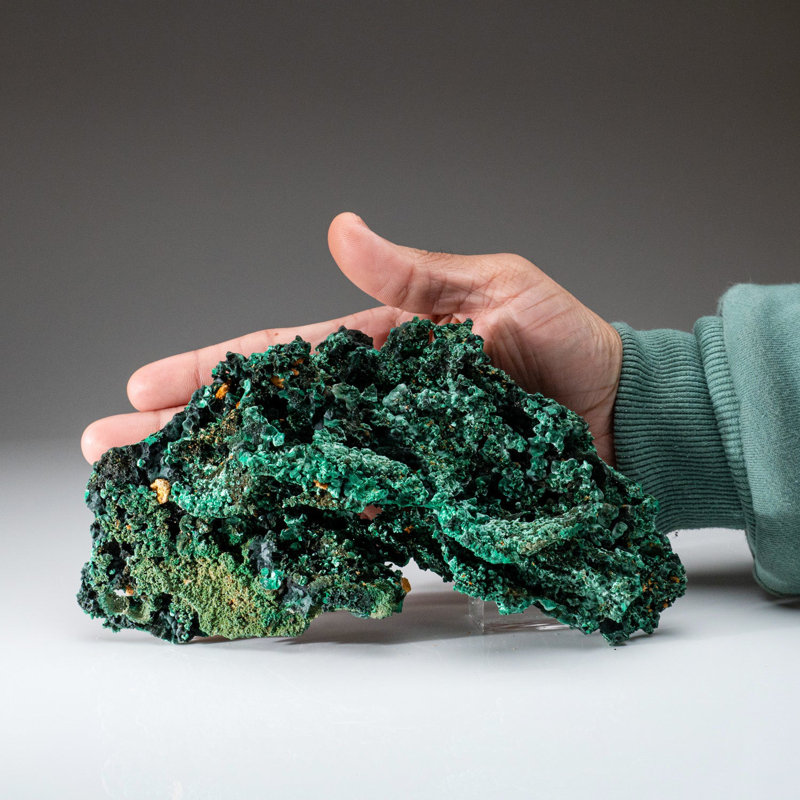 Malachite from Shaba Copper Belt, Katanga (Shaba) Province, Democratic Republic of the Congo (Zaire)