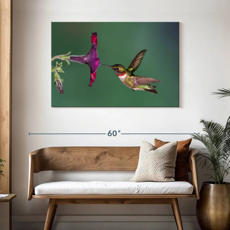 Nectar Brampt suçant un colibri, H 30 po x l 45 po