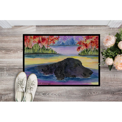 Non-Slip Indoor Doormat