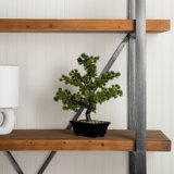 12'' Faux Tree in Pot