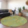  Premium Machine Washable Cerrito AMF533 Rug