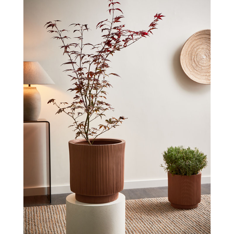 Pot Planter, 14.57" H x 14.57" W x 14.57" D