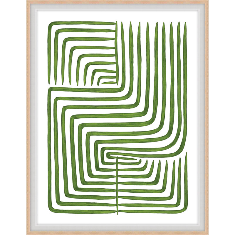 Botanicus Ordinatio 2 Print, 22.54" H x 17.54" W