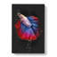 Siamese Fighting Fish - Wrapped Canvas-56644151