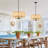 Nemeth 4 - Light Dimmable Drum Chandelier
