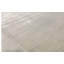 Area Rug in Ivory
