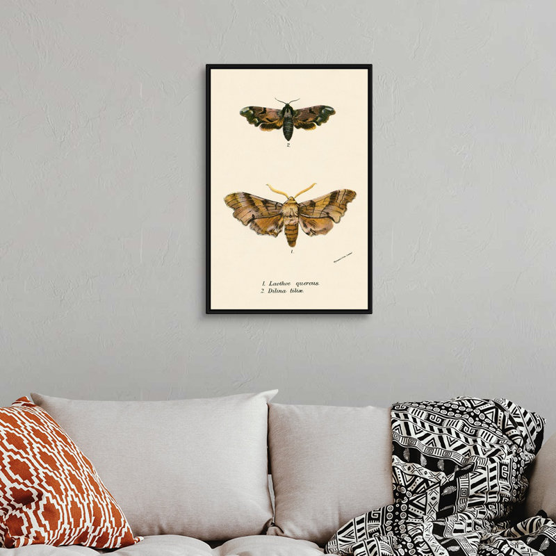 Papillons par English School - reproduction sur toile, H 32 po x l 22 po x P 1,75 po, Cadre noir