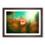 Lone Pink Flower in Abstract - Picture Frame Graphic Art Print-55761278-55761279