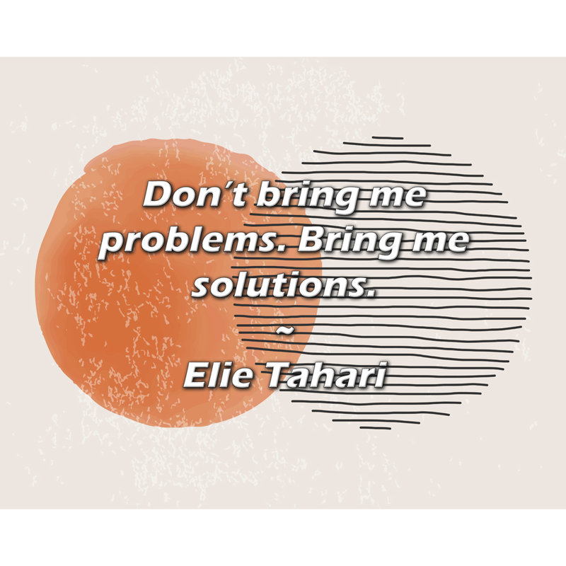 Elie Tahari Citation: Ne m'apportez pas de problèmes. Apportez-moi des solutions., H 15 po x l 18 po