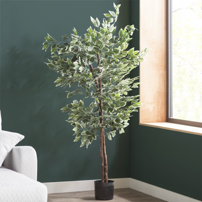 58" Artificial Ficus Plant with Variegated Leaves and Natural Trunk