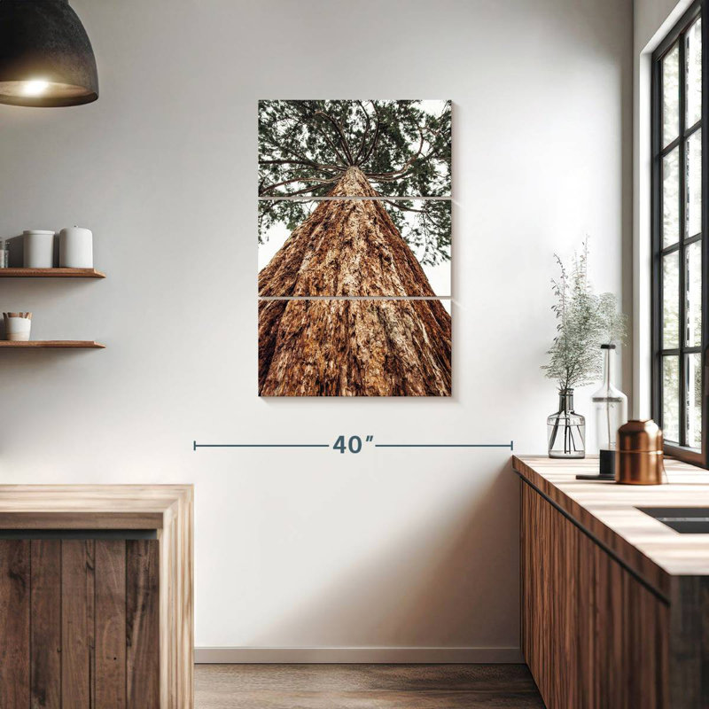 Harnek Sierra Redwood, 38" H x 24" W
