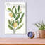 «Classic Citrus V Light» par Sue Schlabach-645004750