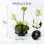 Organic Modern Arrangement Mixed Assortment Arrangement In Pot