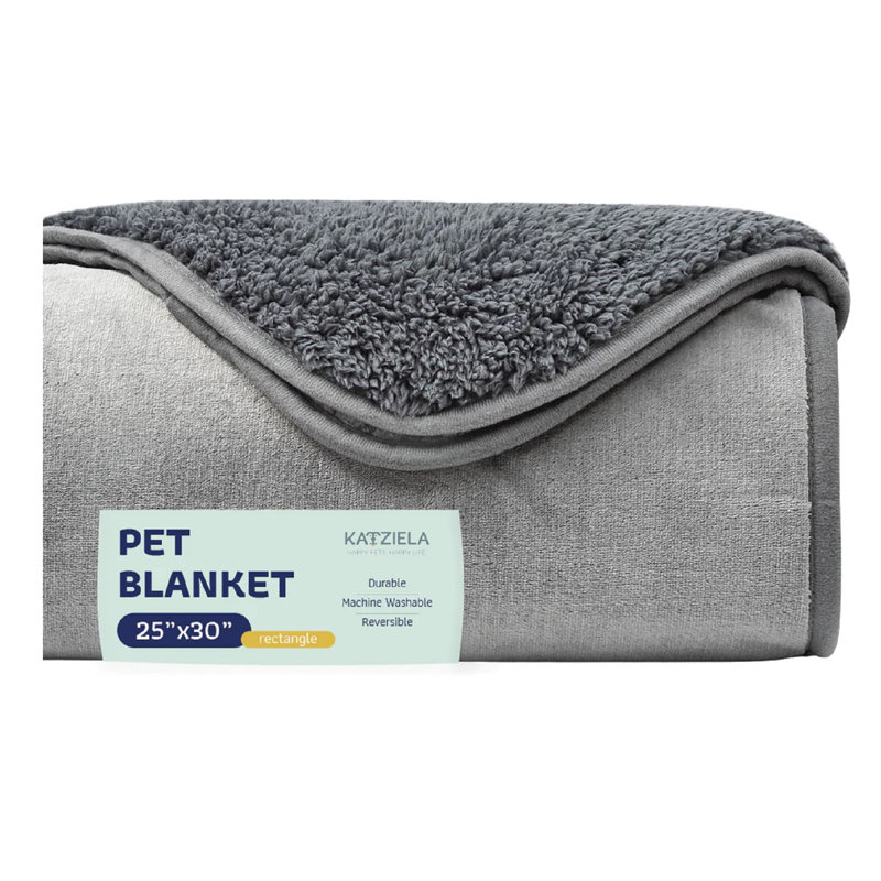 Coussins Katziela, Gris clair, 30 po x 25 po