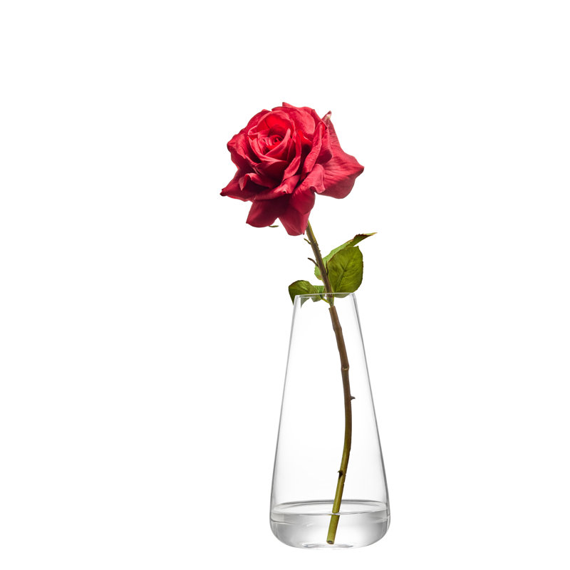 York Clear Vase, Overall Height - 24.5cm