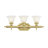 Christiansburg 3 - Light Dimmable Vanity Light-22508601